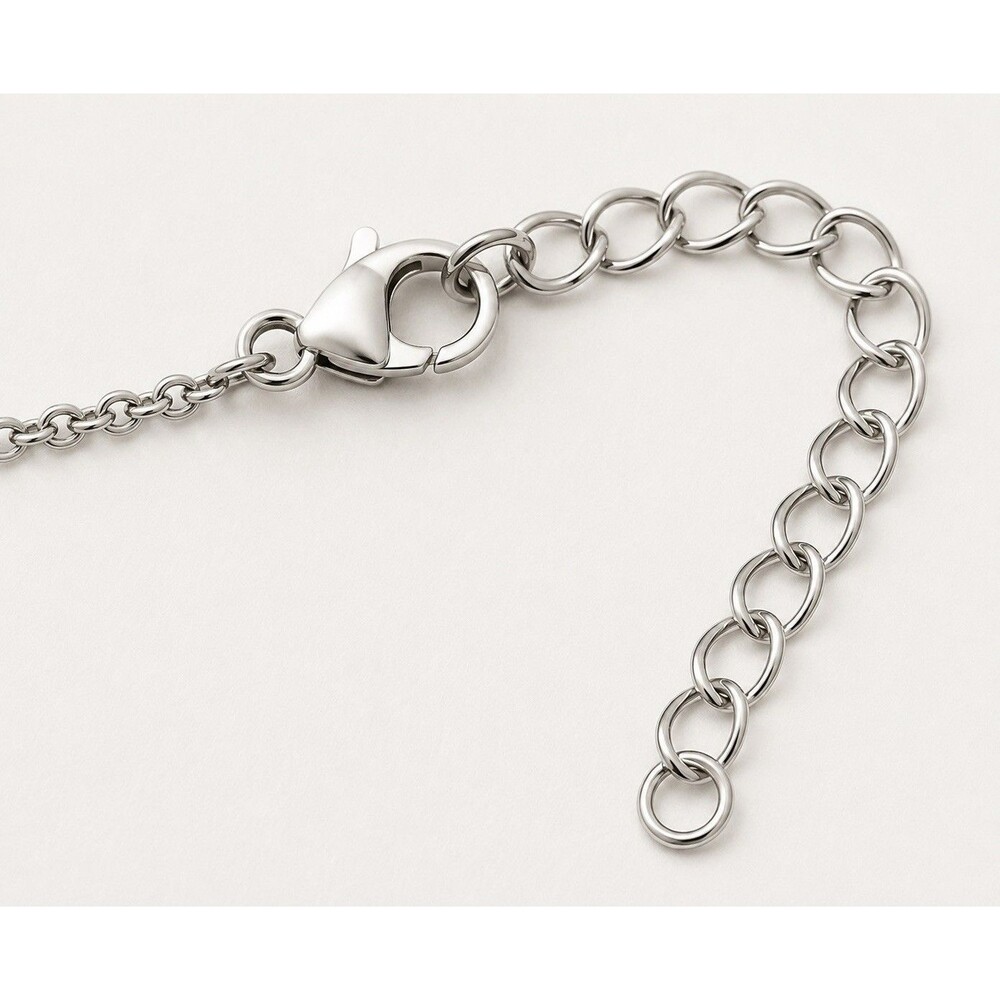 Saint Francis Protector of Animals Necklace Protect my Pet Stainless Steel - Picture 6 of 6